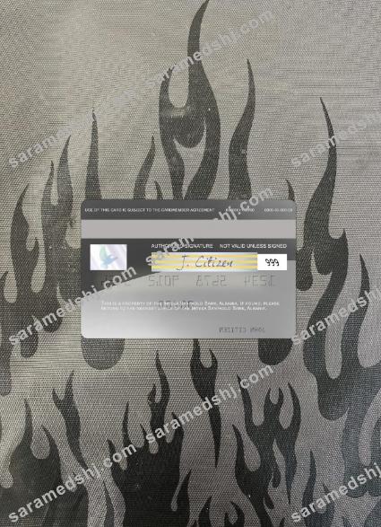 Albania Intesa Sanpaolo Bank visa card photolook back